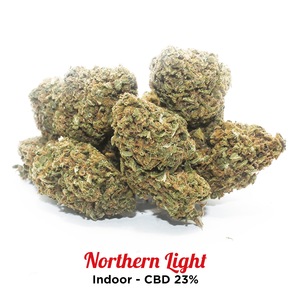 Northern Light - Fiori di Cannabis Light - Amsterdam Shop